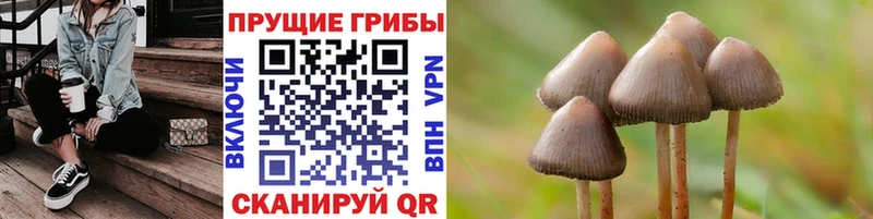 Псилоцибиновые грибы прущие грибы  Георгиевск 